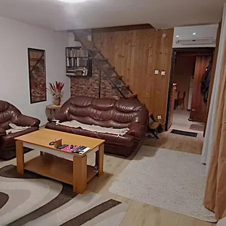 Spacious House With Terrace - Vozdovac Belgrad